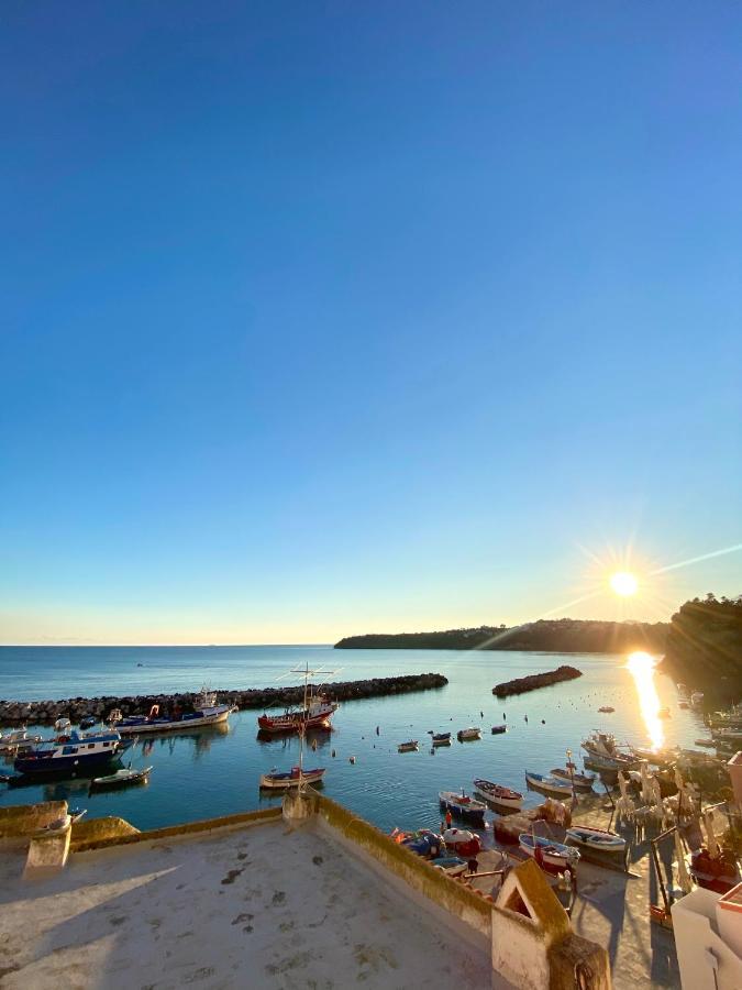 La Terrazza Corricella Villa Procida Esterno foto